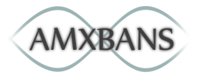 Установка AMXBANS 6.0 на виртуальный хостинг Установка AMXBANS 6.0 на виртуальный хостинг