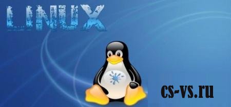 Создание сервера CS 1.6 на Linux Создание сервера CS 1.6 на Linux
