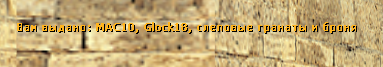 Weapon Mod Weapon Mod